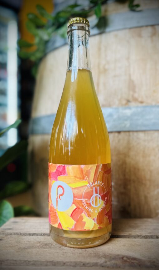 Pastore Brewing & Blending - 'Apricot Casa'