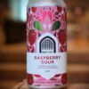 Vault City Brewing - 'Raspberry Sour'